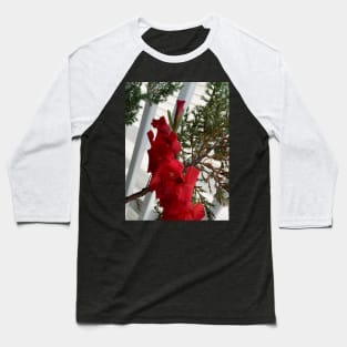 Gladiolus Baseball T-Shirt